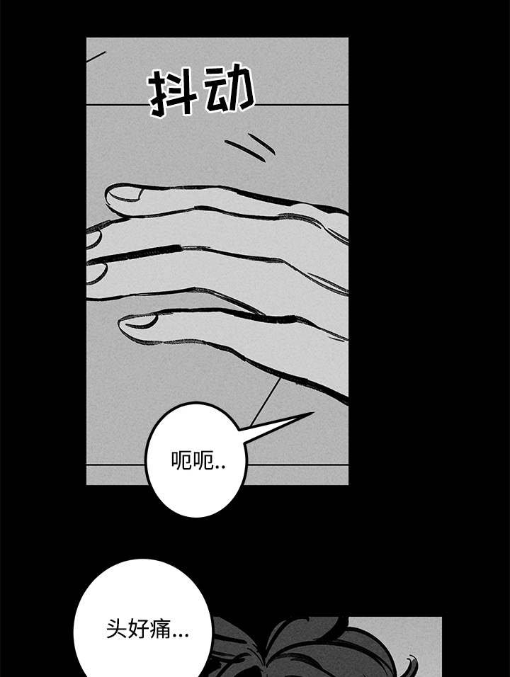 第24章：实验体