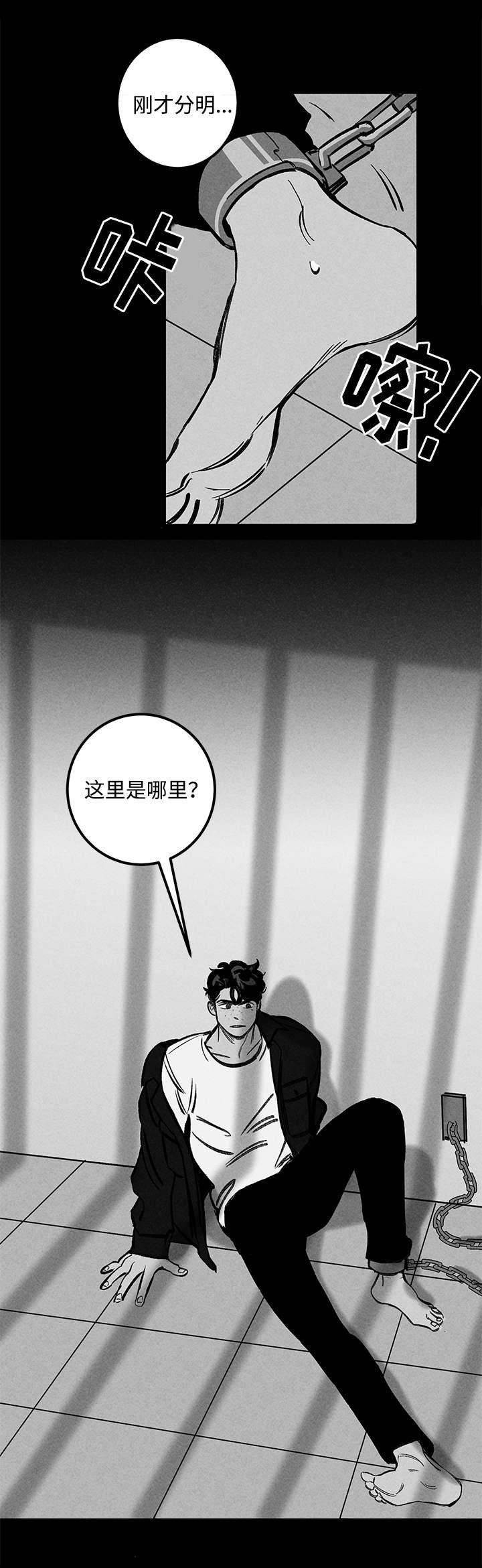 第24章：实验体