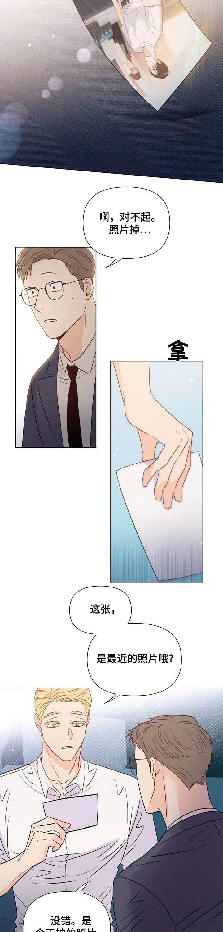 第37章：奇怪