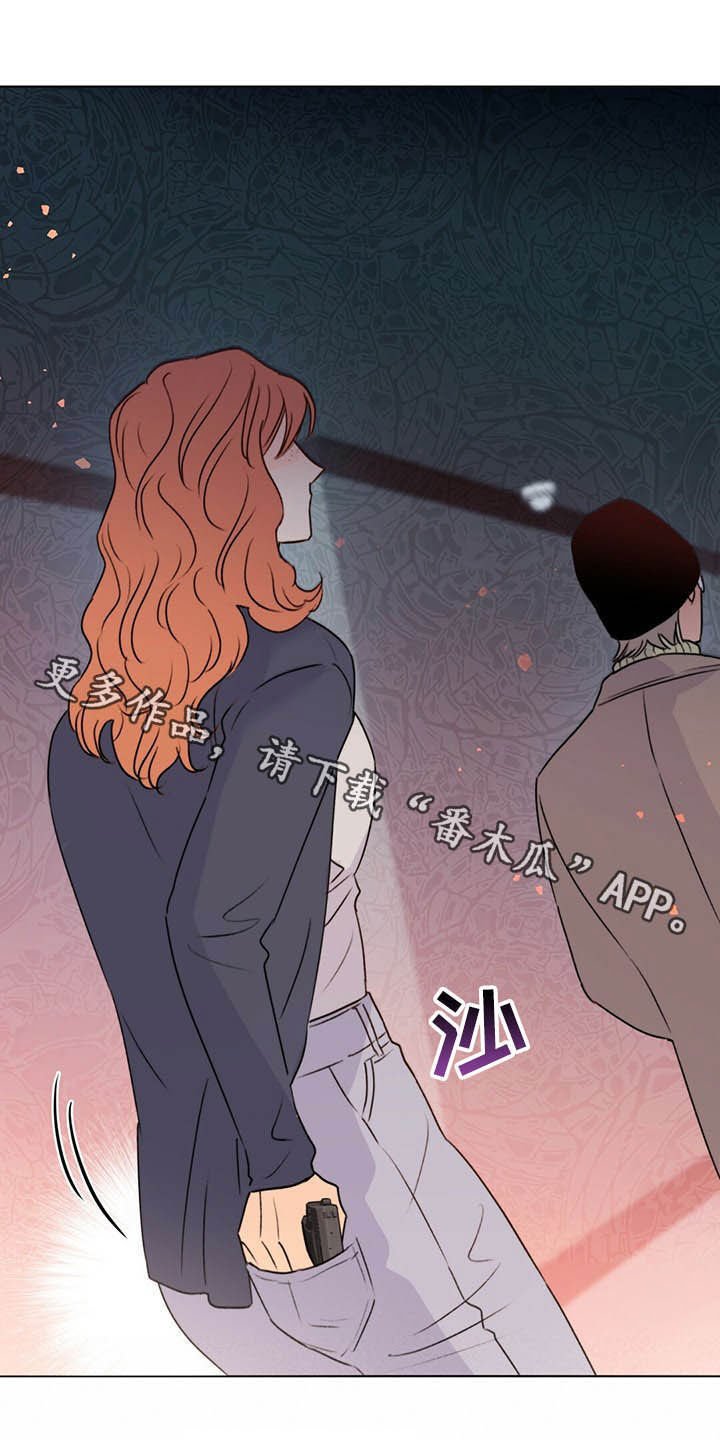 第56章：枪