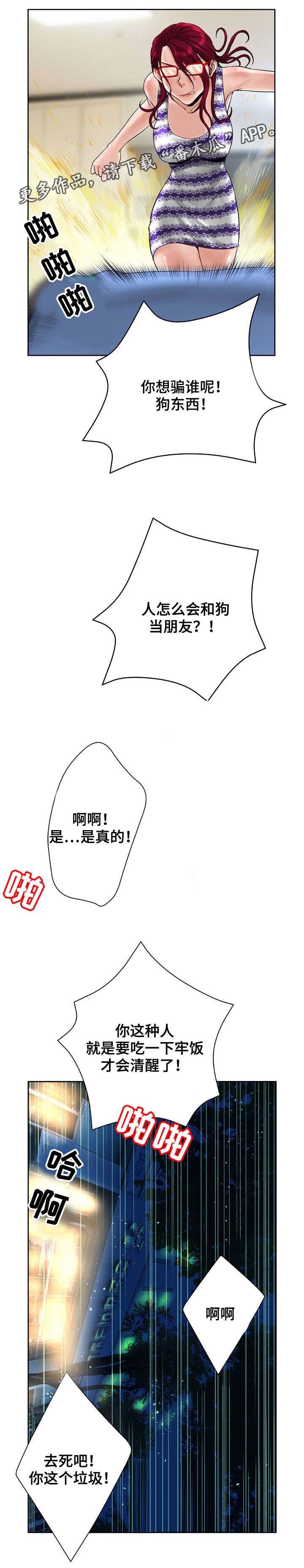 第20章：视频