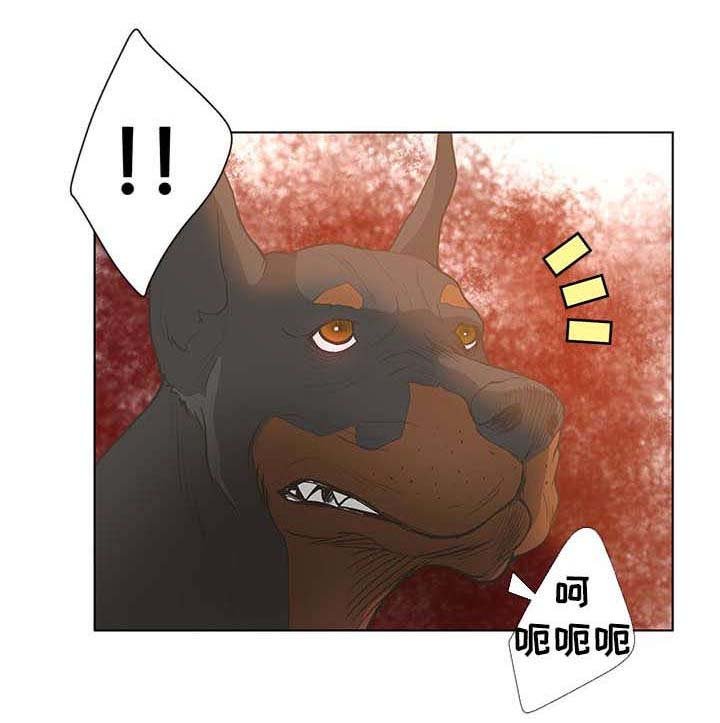 第61章：重要时刻