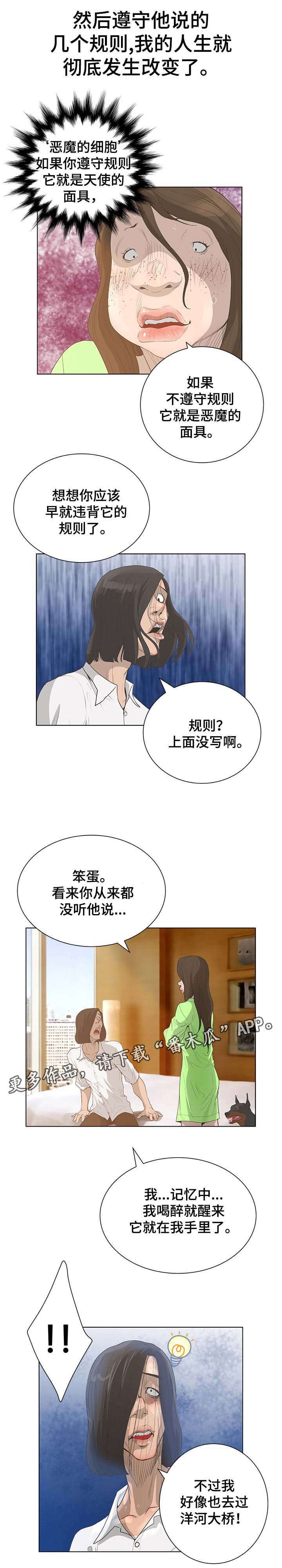 第65章：和他有关！