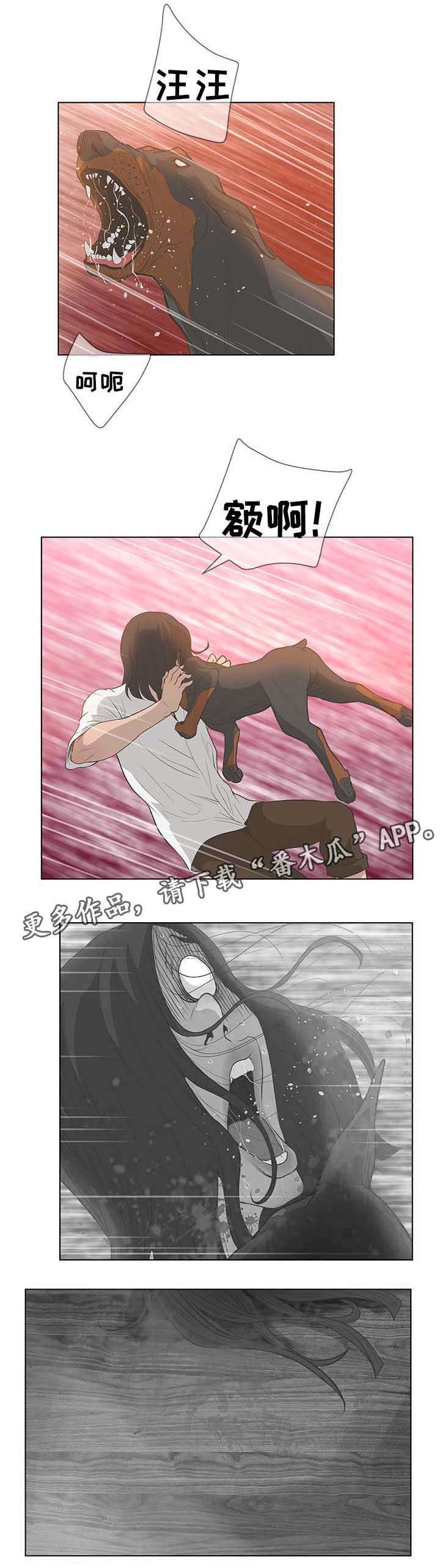 第65章：和他有关！
