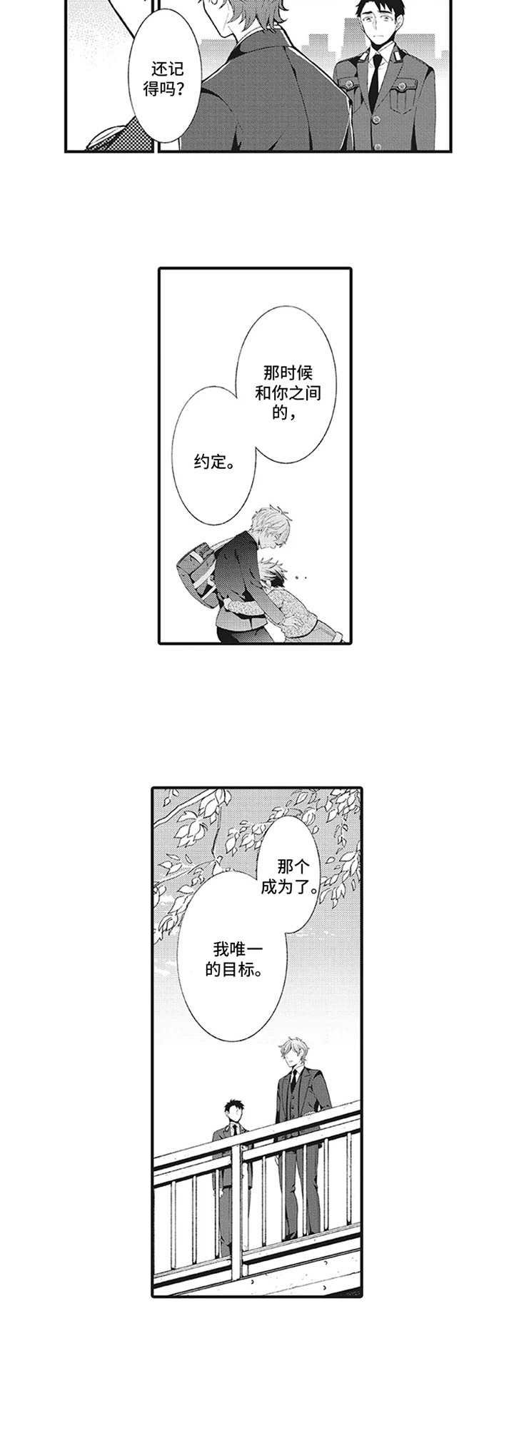第6章：约定与目标