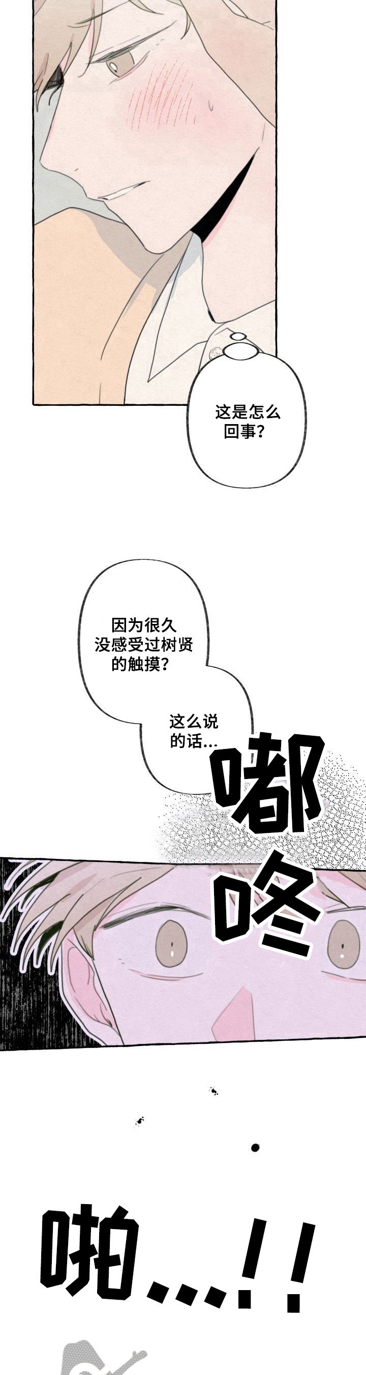 第48章：记忆
