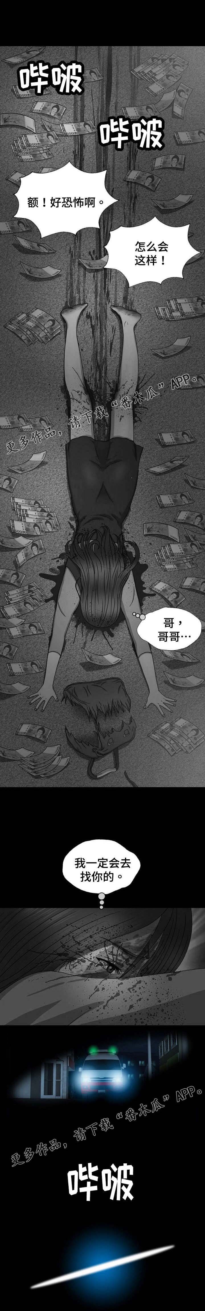 第13章：照片