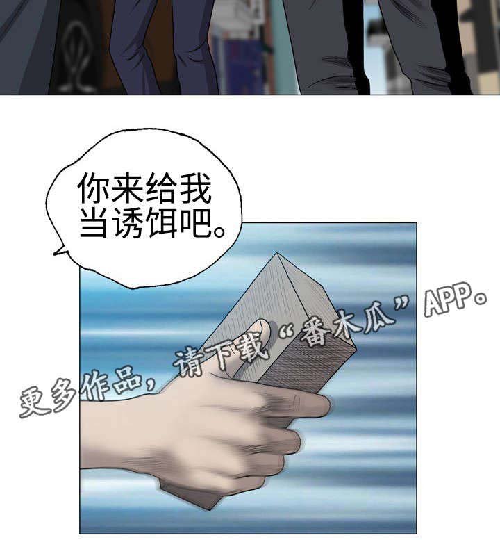 第58章：诱饵