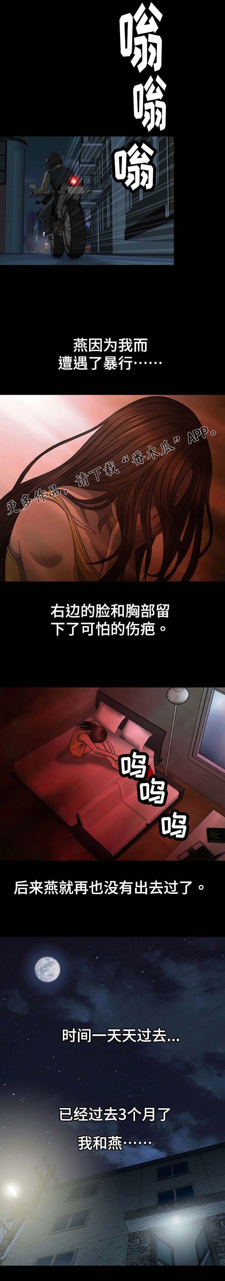 第8章：毁容
