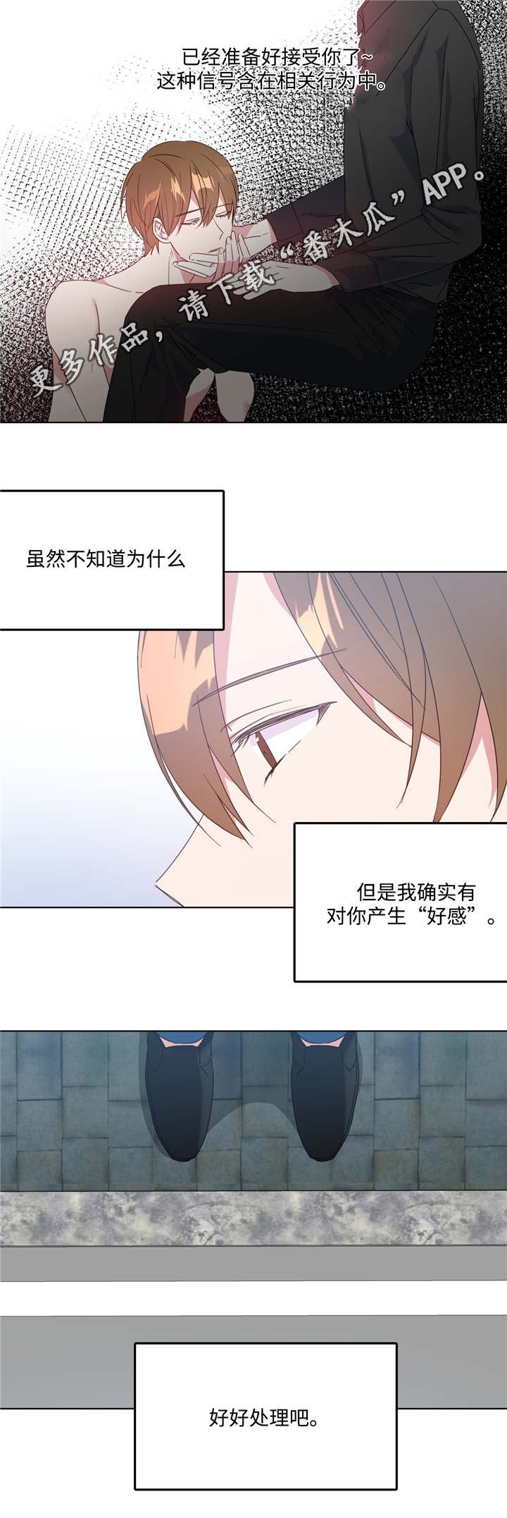 第11章：何去何从