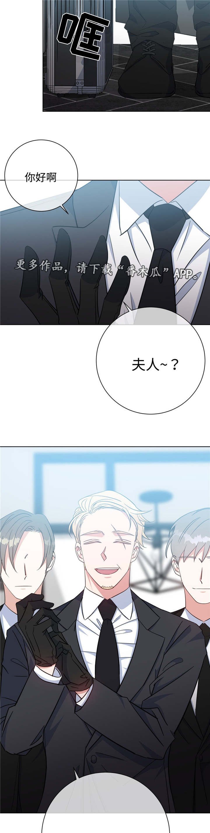 第51章：齐聚一堂