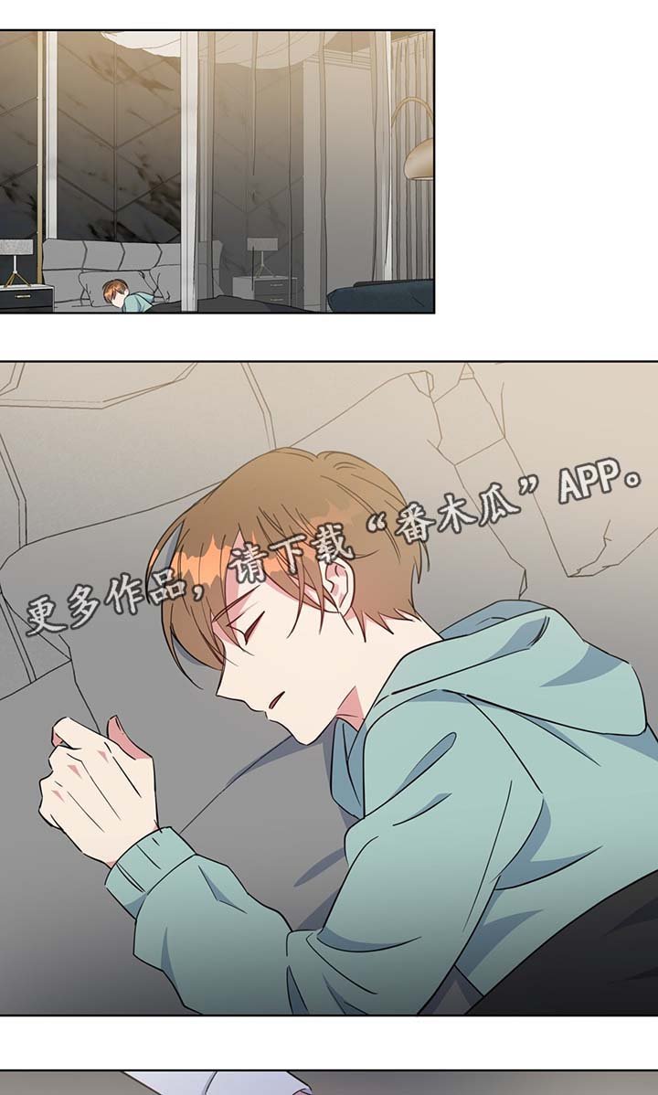 第54章：调查