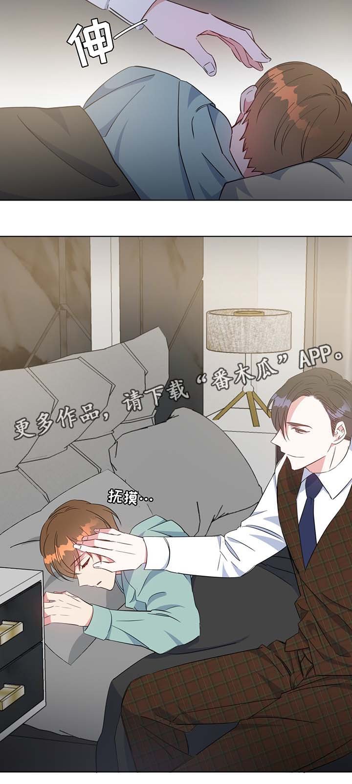 第54章：调查
