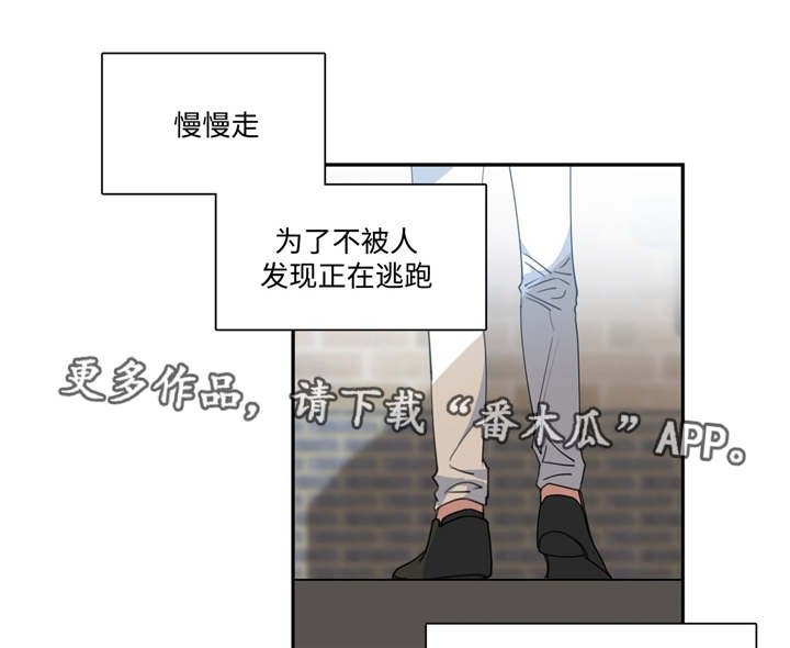 第6章：是目击者