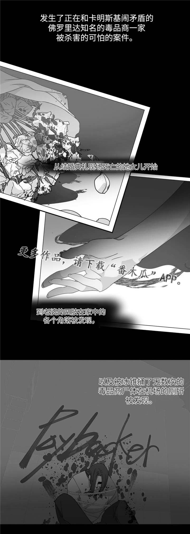 第6章：是目击者