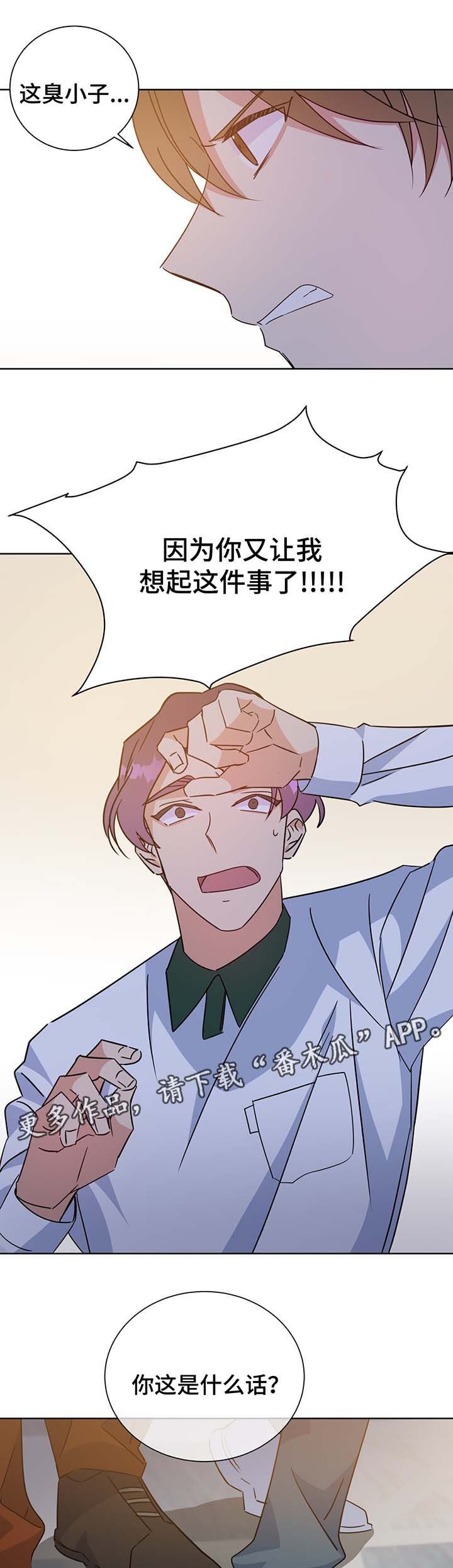 第63章：结婚的消息