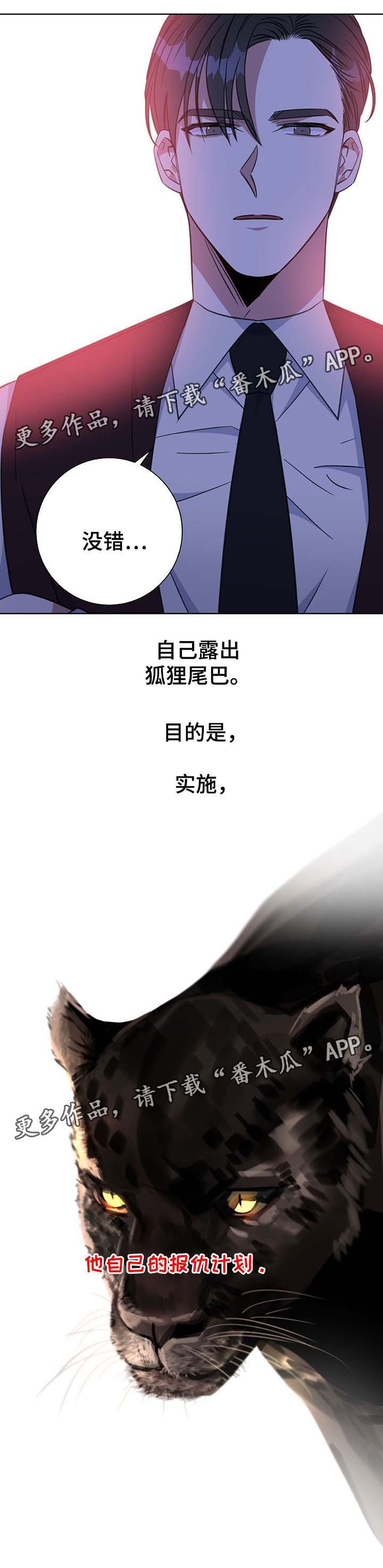 第77章：报仇计划