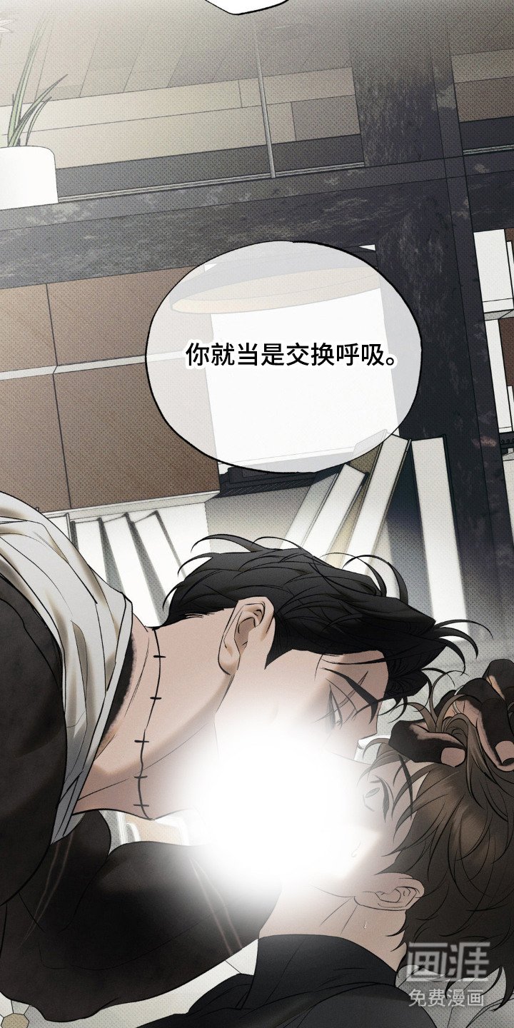 第10章： 交换呼吸