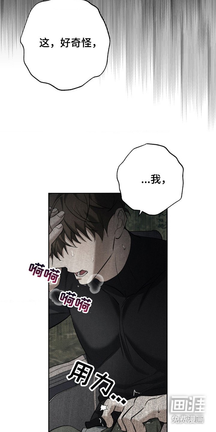 第11章：美丽风景