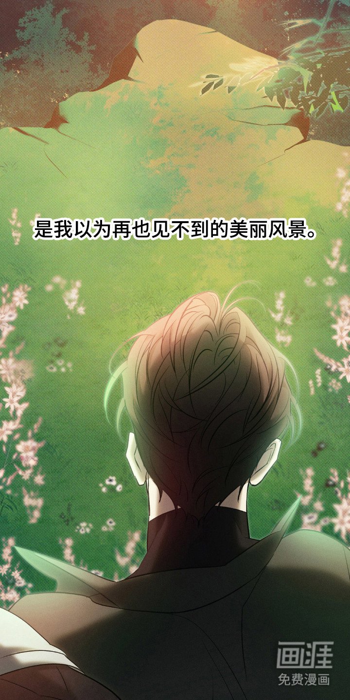 第11章：美丽风景