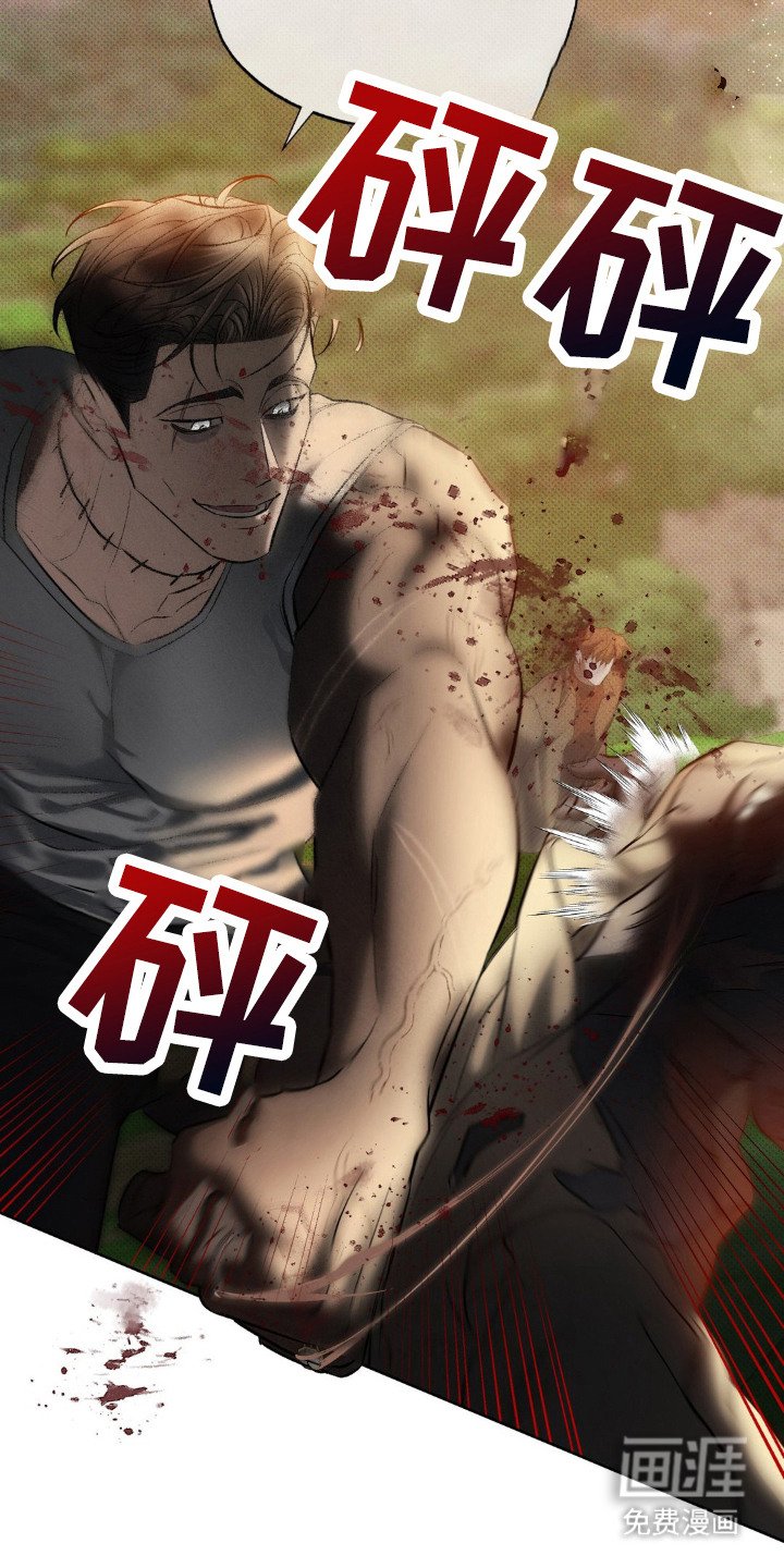 第12章：守护者