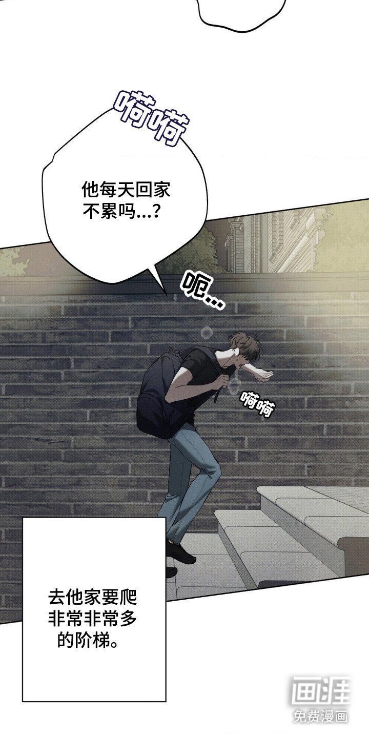 第15章：多看几眼
