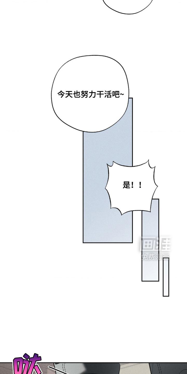 第19章：公平