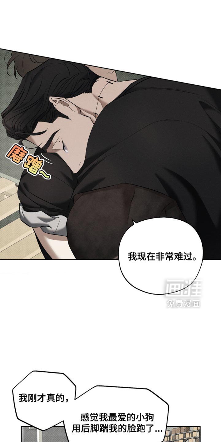 第20章：对不起他