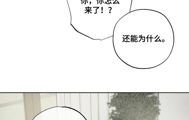 第23章：我陪你