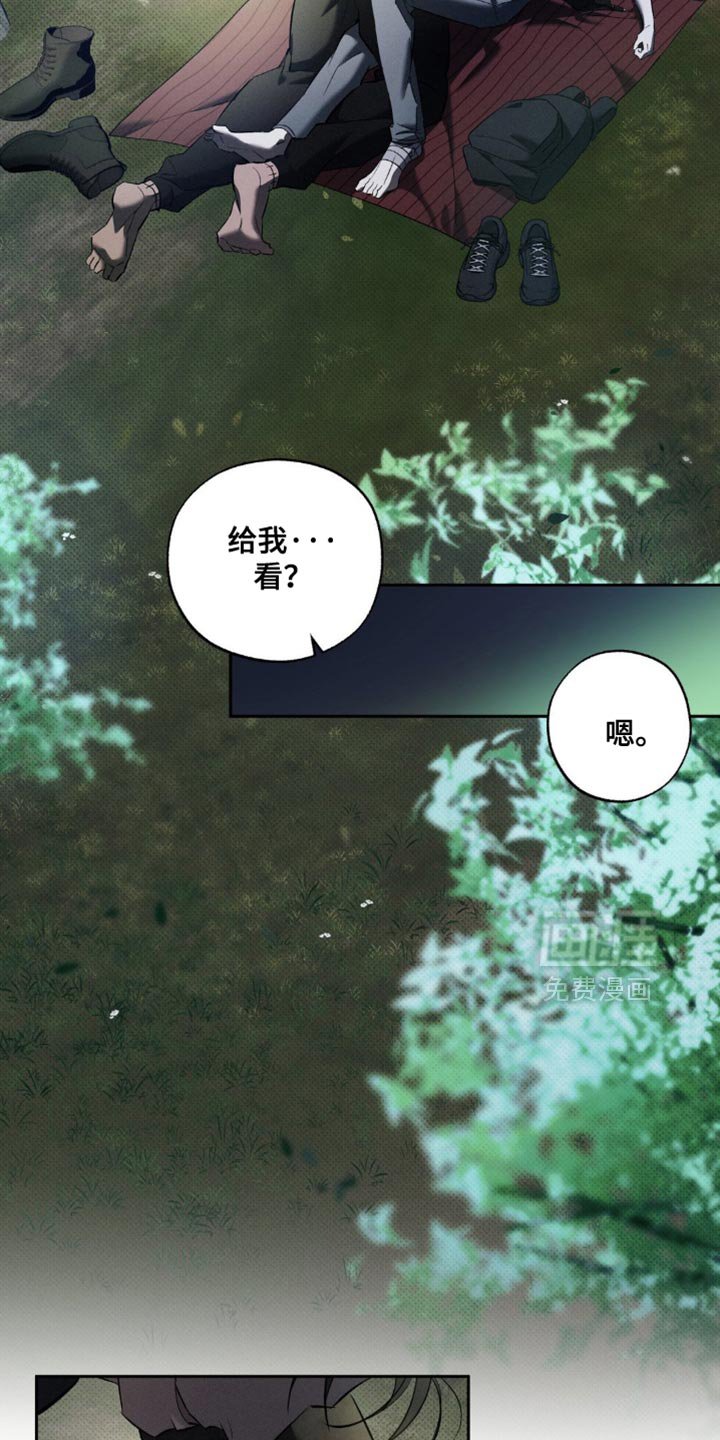 第27章：去散步吧？