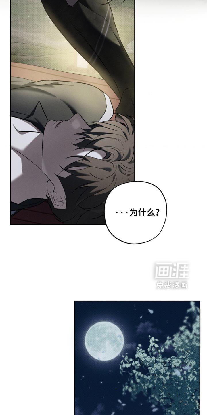 第27章：去散步吧？