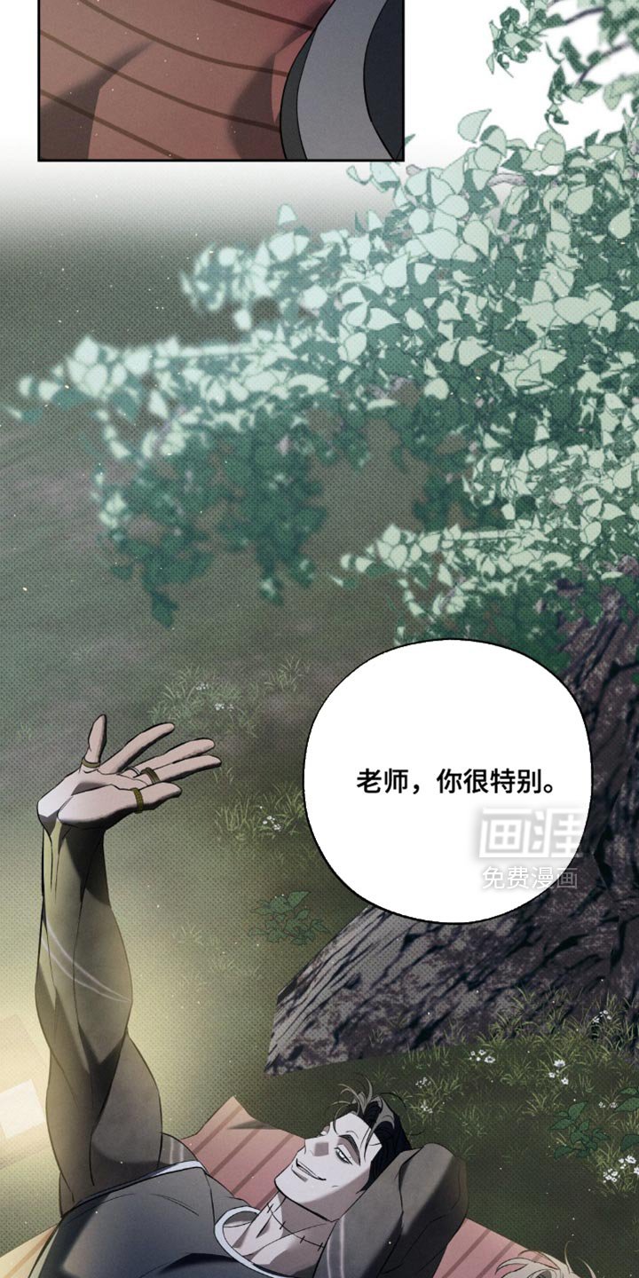 第27章：去散步吧？