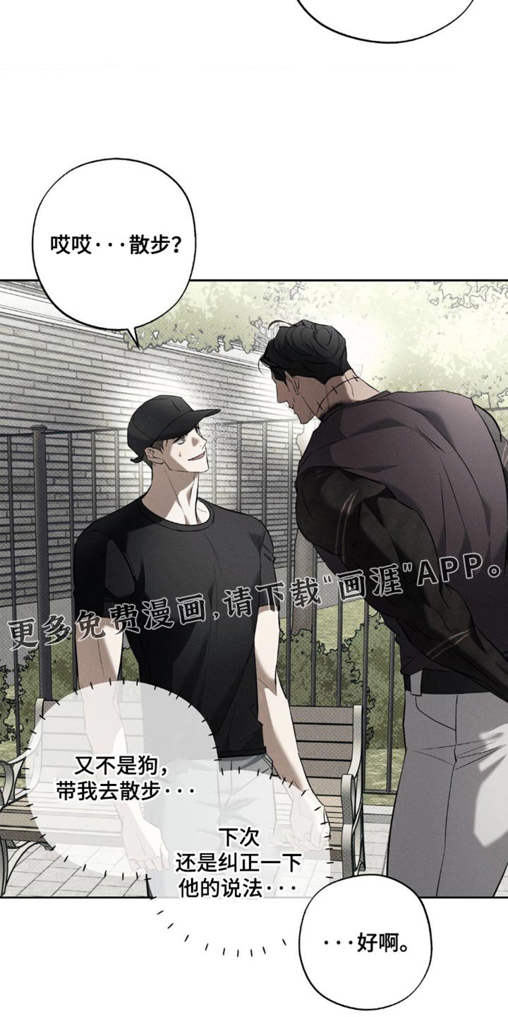 第27章：去散步吧？