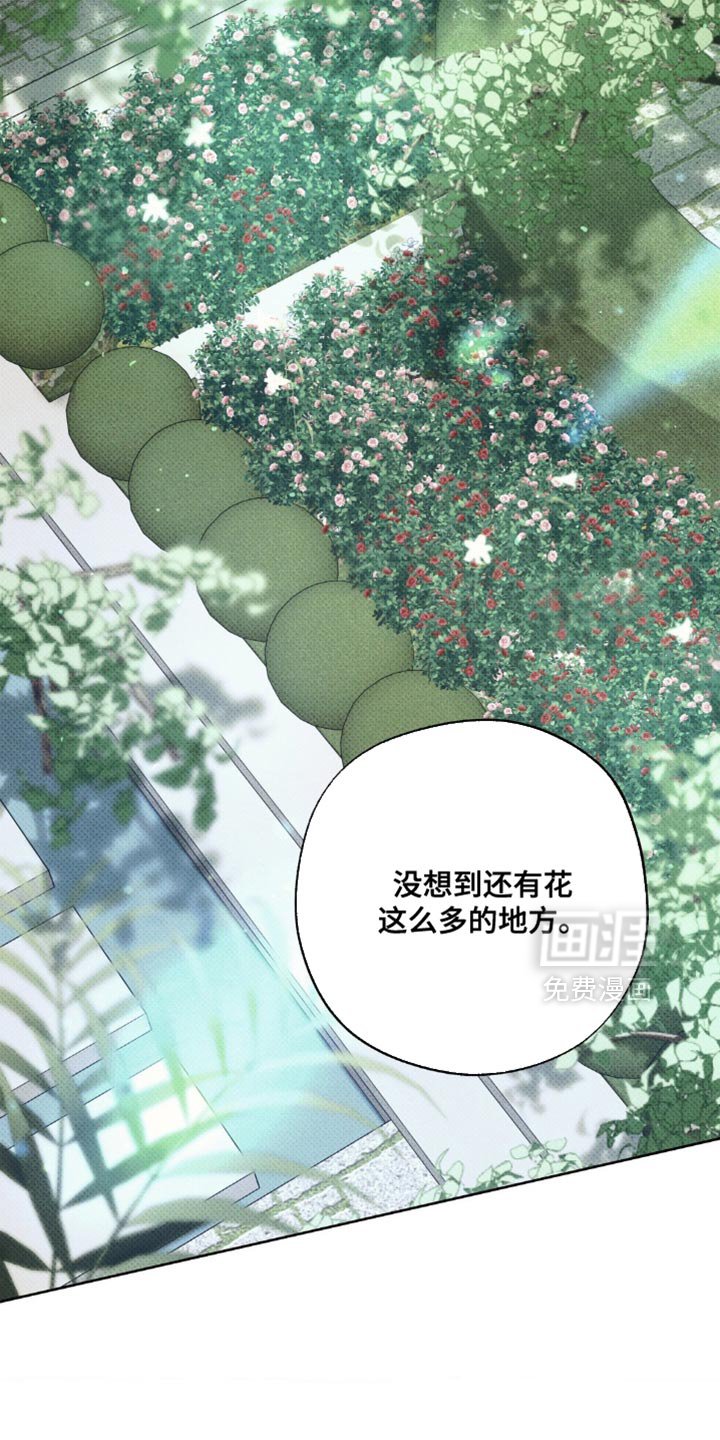 第28章：并不在意