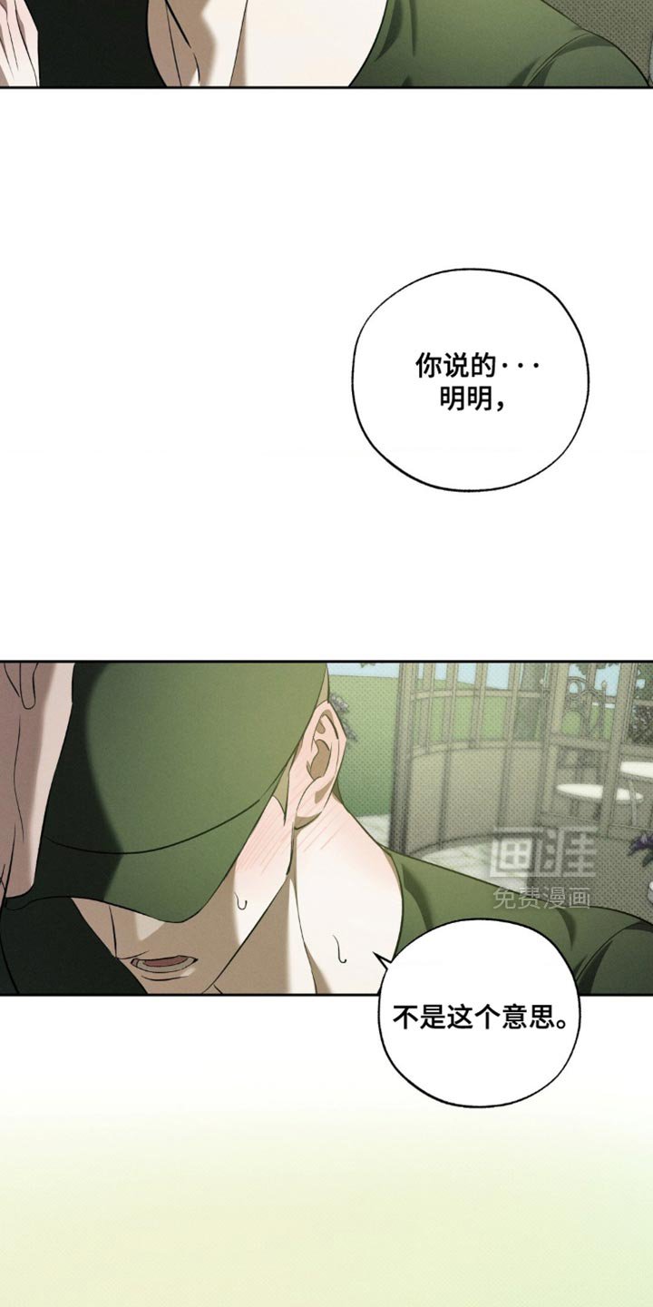 第29章：明明不是这个意思