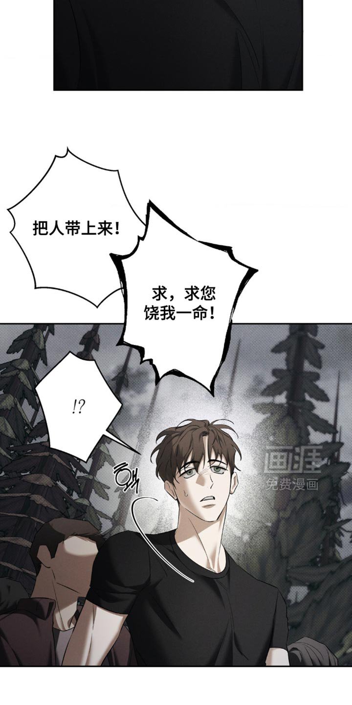 第40章：用命偿还