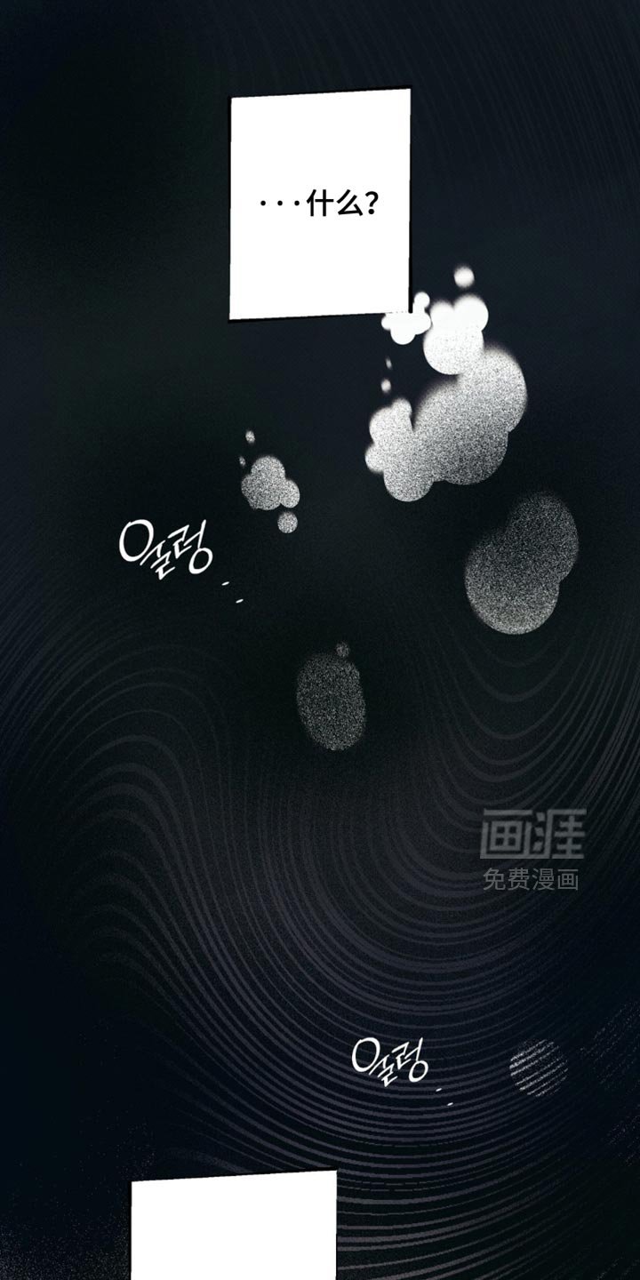 第41章：正确的选择