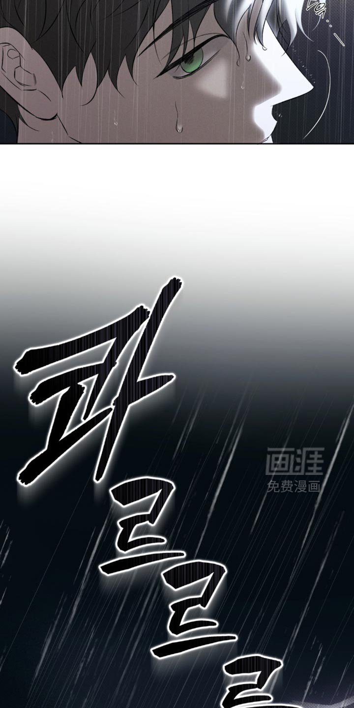 第41章：正确的选择
