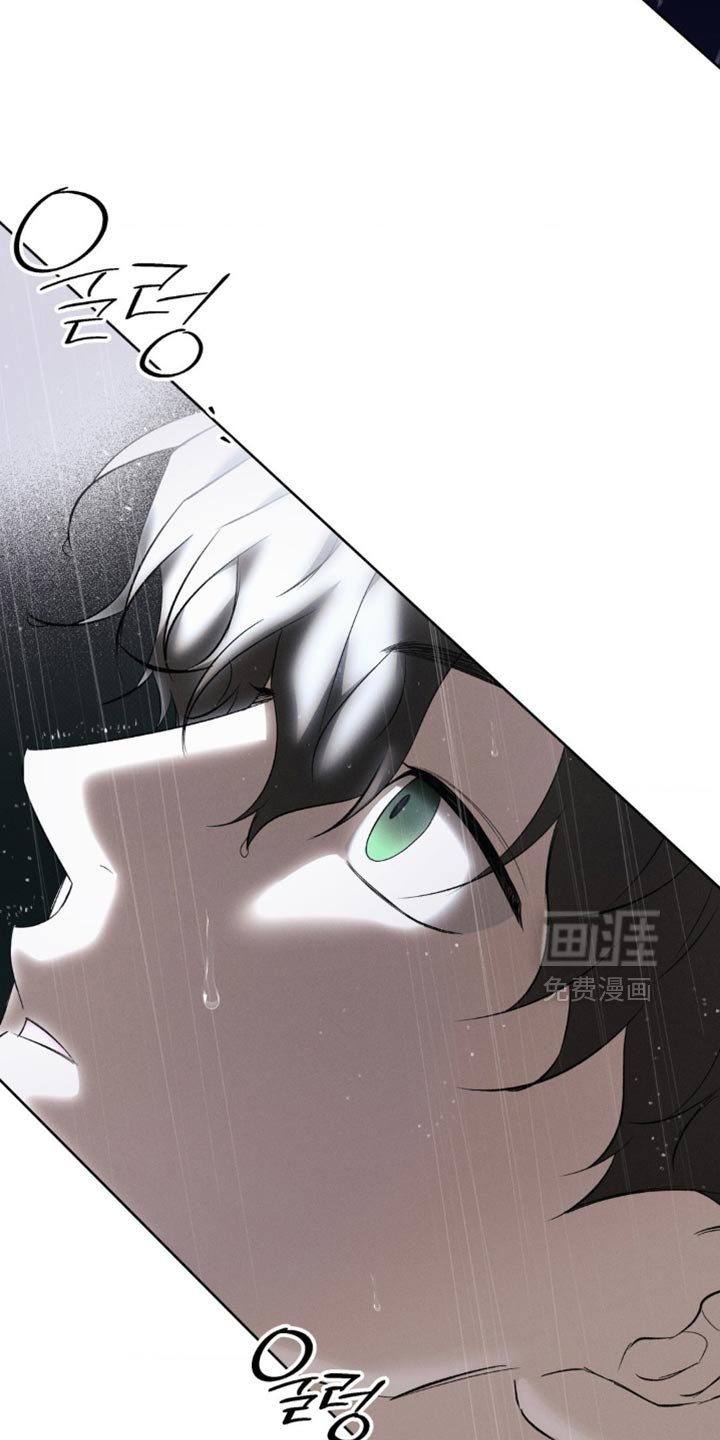 第41章：正确的选择
