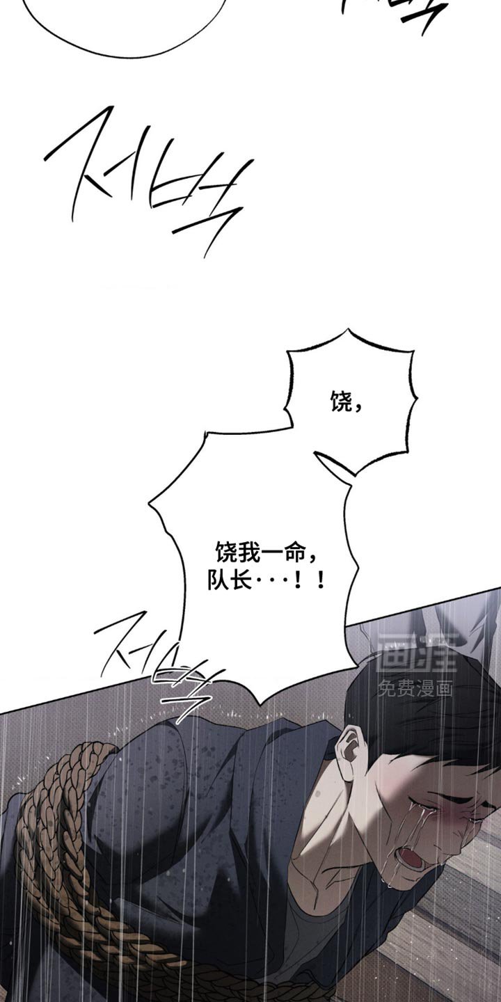 第41章：正确的选择