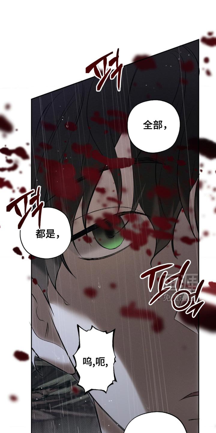 第41章：正确的选择