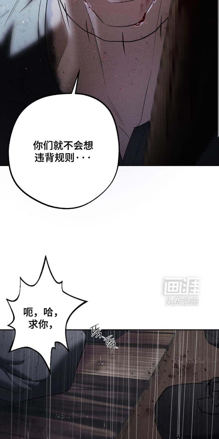 第41章：正确的选择