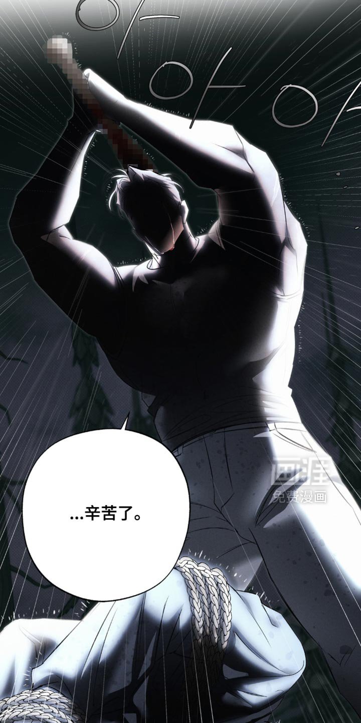 第41章：正确的选择
