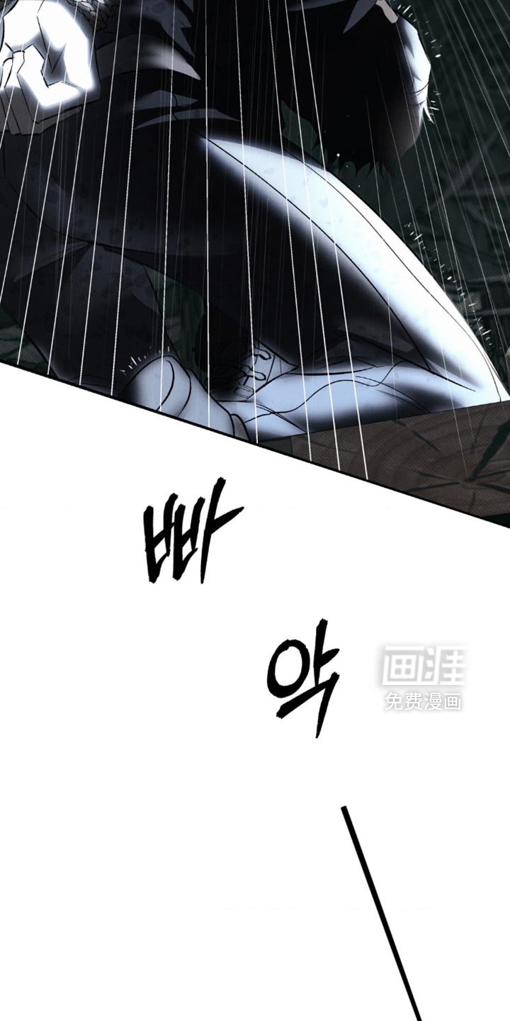 第41章：正确的选择