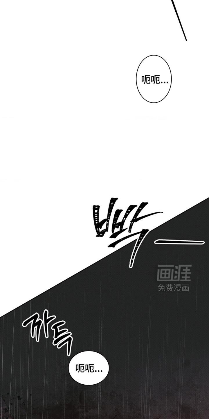第41章：正确的选择