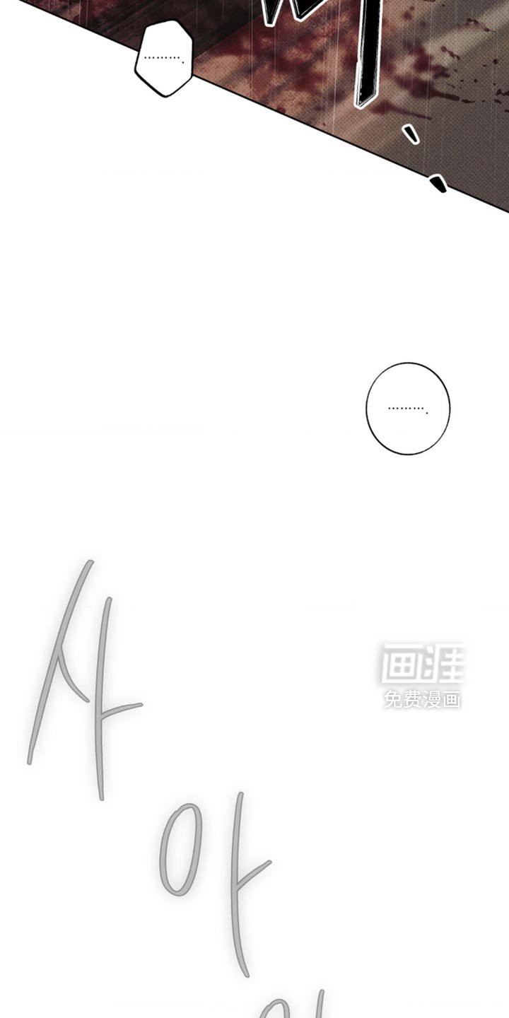 第41章：正确的选择