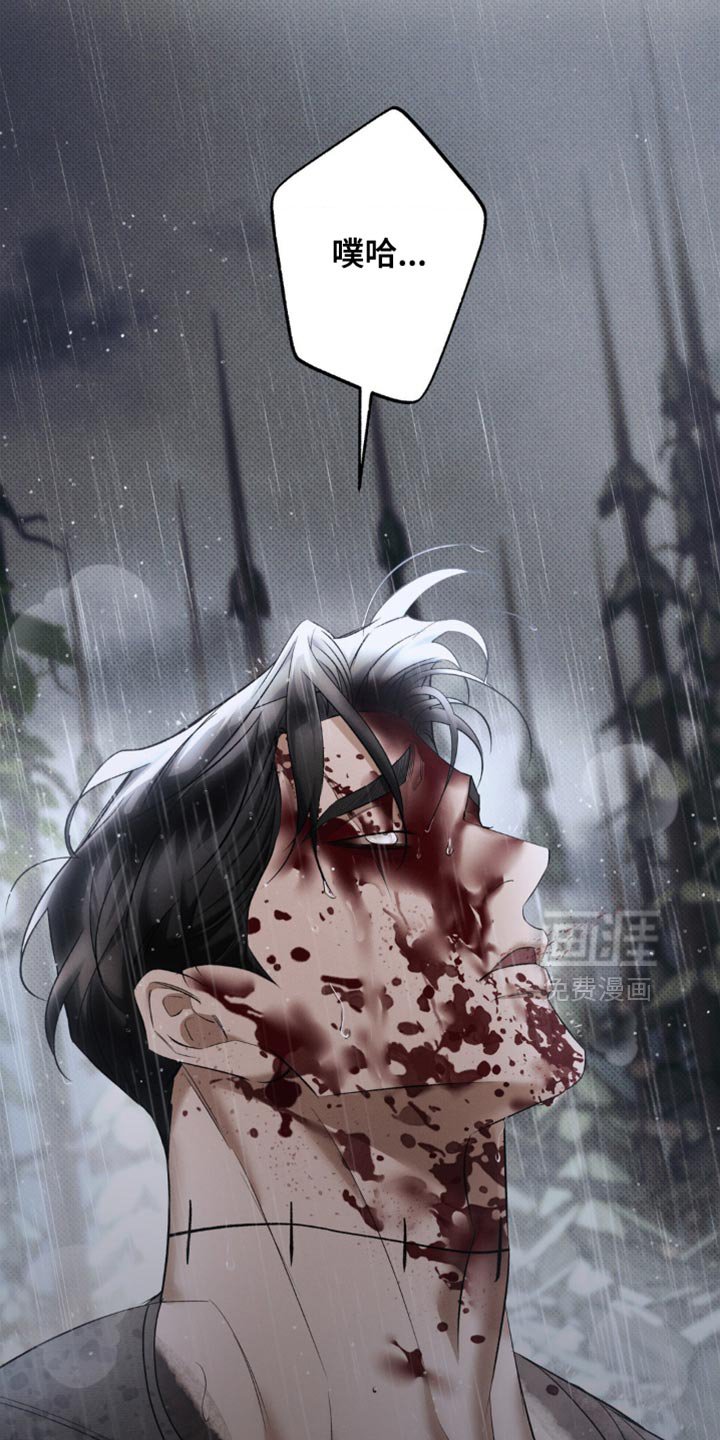 第41章：正确的选择