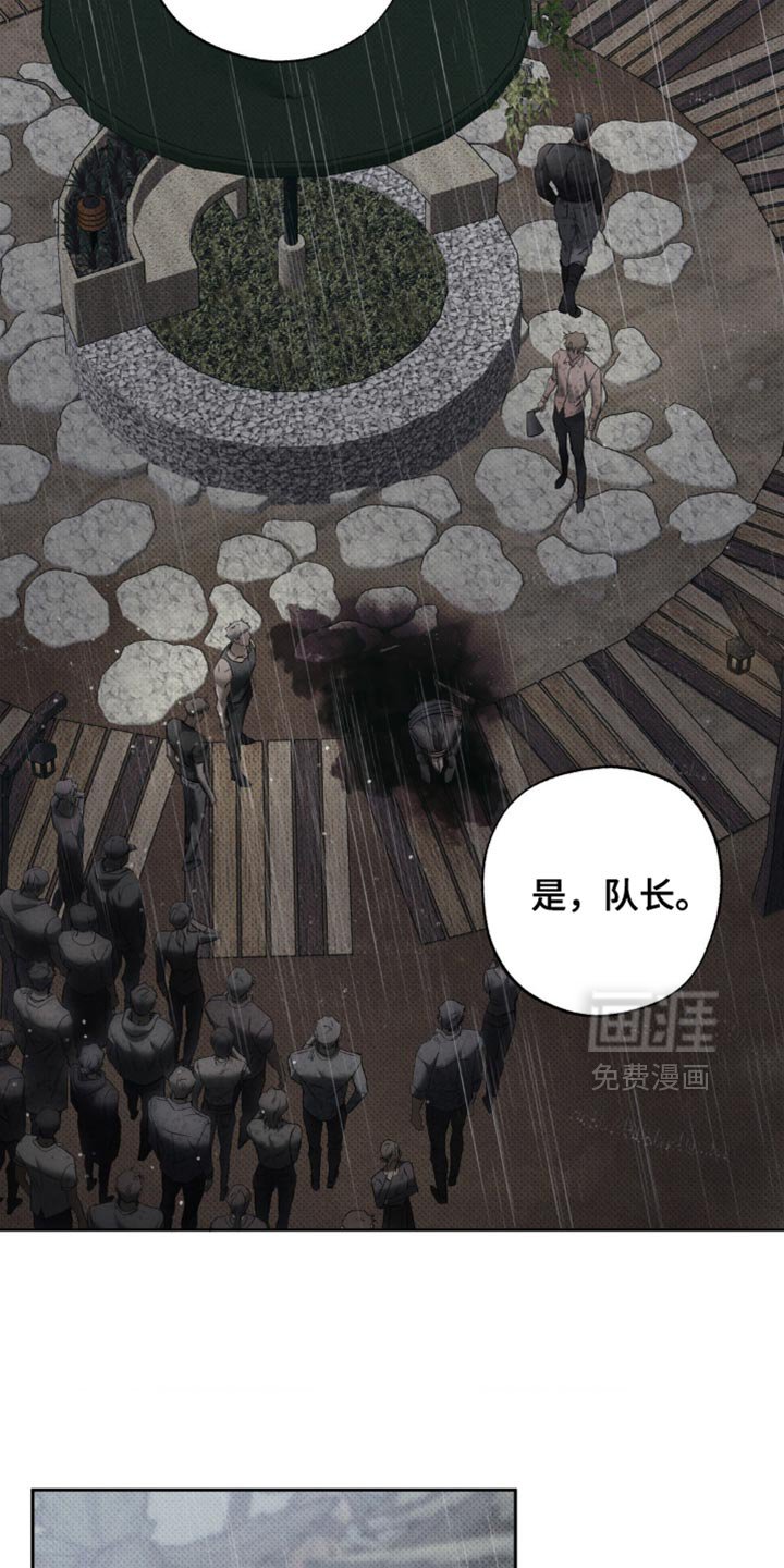第41章：正确的选择