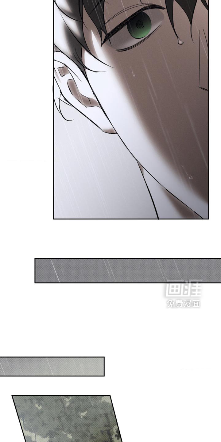 第41章：正确的选择