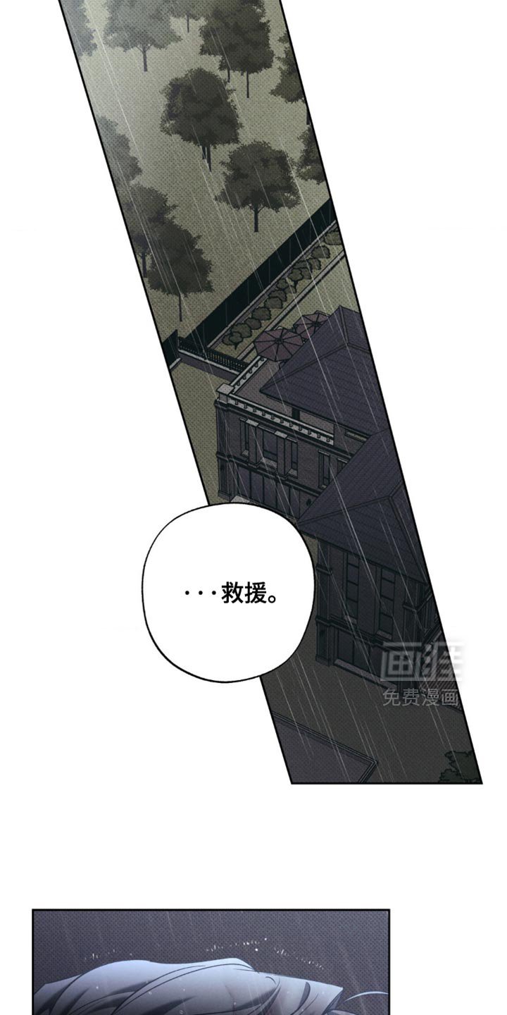 第41章：正确的选择